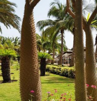 Dakar Hotel | Terrou-Bi
