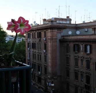Testaccio Casa | Testaccio Room in Rome
