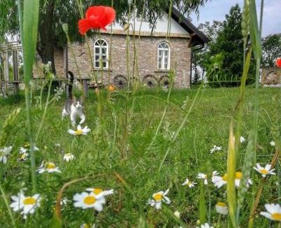 Novi Sad Casa | Tetrebov salas in the peaceful fields
