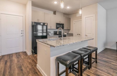 Elmo Apartamento | Texas Corporate Housing Solutions Professional Apt