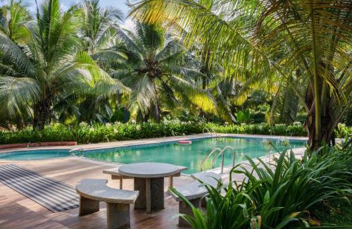 Chittur Casa | Thanima Farmlife experiential Farm Tourism