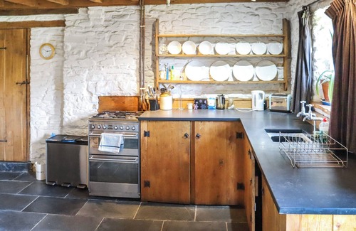 Llanybydder Cabaña | Thatched Cottage - UK50261