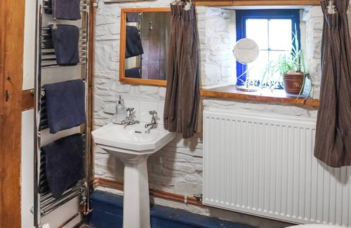 Llanybydder Cabaña | Thatched Cottage - UK50261