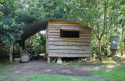 Ash Cabina | Thatched roundhouse in Somerset woodland; off-grid relaxation & campfire cooking
