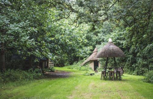 Ash Otro | Thatched Roundhouse in Somerset Woodland