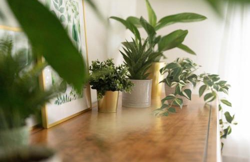 Beckenried Apartamento | The 1415 See I Erlebnis I Luzern
