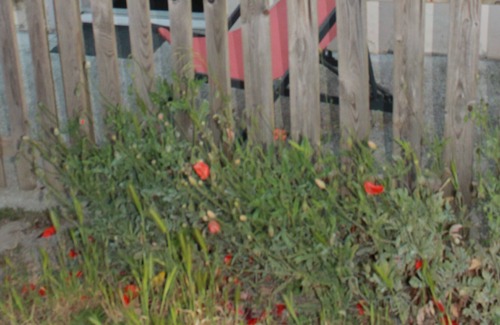 Hauteville-sur-Mer Apartamento | The Adantho, 2 steps from the sea
