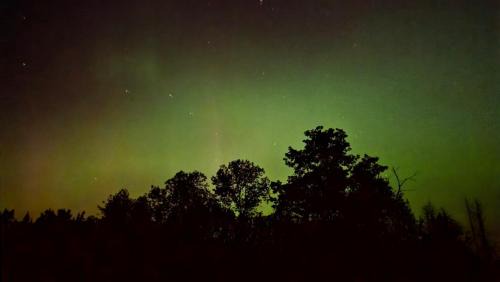 Harris Casa | The Alderwood Lodge