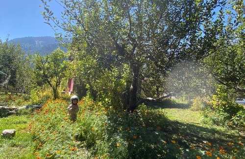 Manali Villa | The Apple Hut