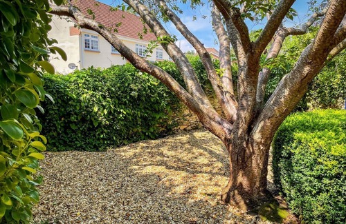 Weymouth Cabaña | The Apple Loft at Jordan House