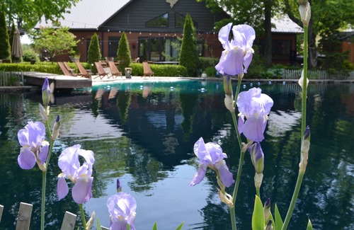 Caroline Casa | The Avia at Scottland Yard Farm