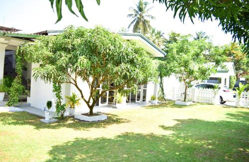 Seeduwa - Katunayake Casa | The Bamboo Tree Transit Hotel