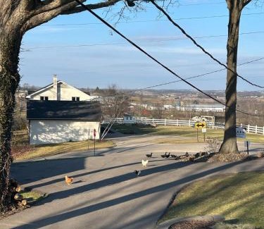 Millersburg Apartamento | The Barn at Sharp Run-Modern Barn in the heart of Amish Country