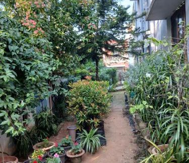 Bhubaneshwar Casa | The Basic