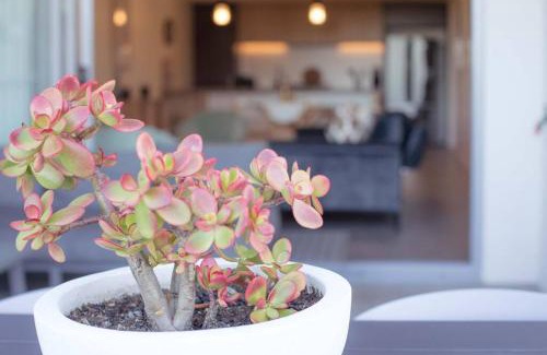 Kingscliff Casa | The Beach Oasis ~ Dune