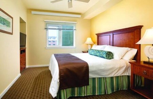 Long Beach Complejo | ¡El hermoso Parque Estatal de Leadbetter Point y el Refugio de Vida Silvestre!