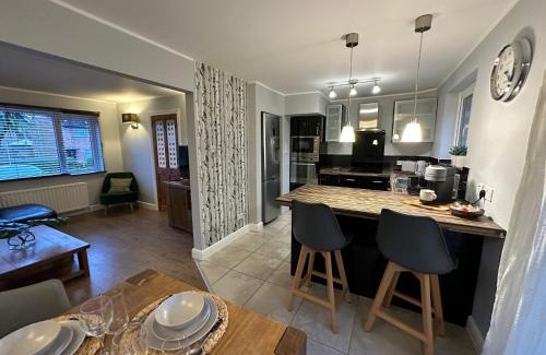 Belfast Apartamento | The Beaver House