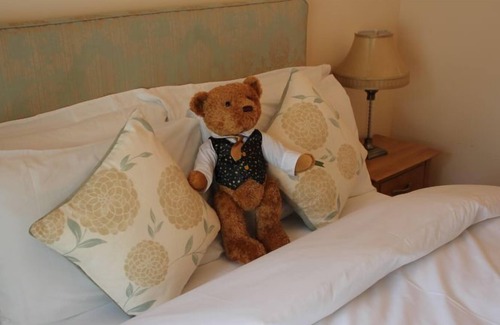 Llanyre Hotel | The Bell Country Inn