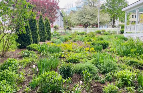 Camden Cama Y Desayuno | The Belmont Inn