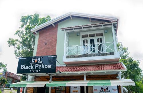 Yercaud Complejo | The Berry House