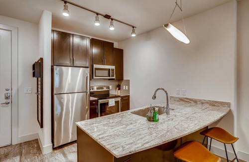 North Burnet Apartamento | The Bindel: Domain, Pet Friendly, 30+ nights, Highly Walkable!