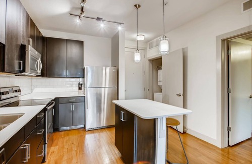 Holly Apartamento | The Bindel, East Austin, Highly Walkable + Pets Welcome!