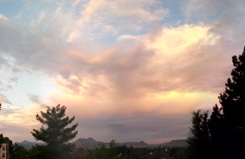 Alpine Casa | The Birdnest, Views, Hike, Bike, Walk, See The TX Mountains