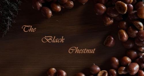 Karpenisi Casa | The Black Chestnut