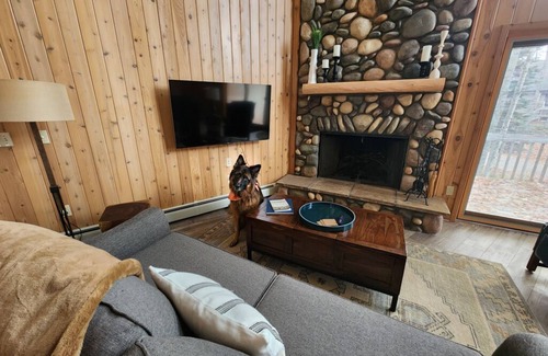 Harbor Springs Chalet De Esquí | The Black & Tan Chalet - modern comfort for your group near Nubs & Highlands