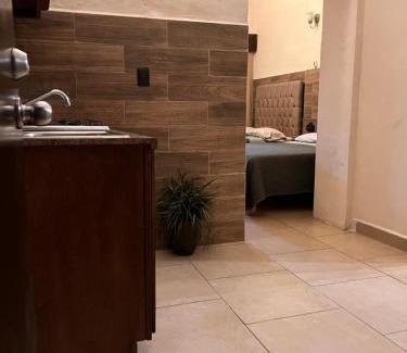 Centro histórico de Mazatlán Hotel | The Black Tree Hotel Colonial