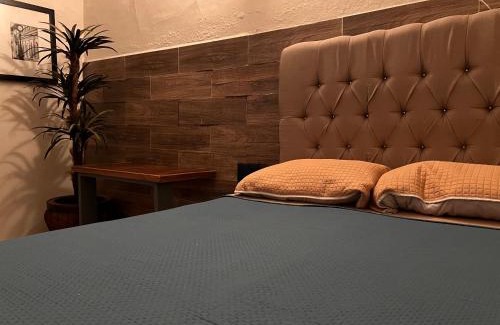 Centro histórico de Mazatlán Hotel | The Black Tree Hotel Colonial