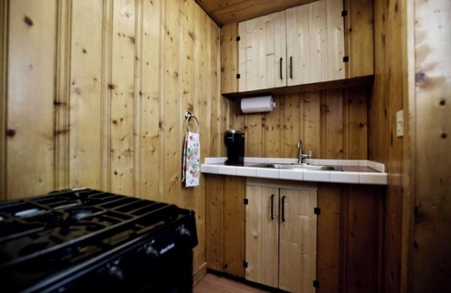 Lake City Cabina | The Blanketflower Cabin with Mountain Views