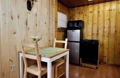 Lake City Cabina | The Blanketflower Cabin with Mountain Views