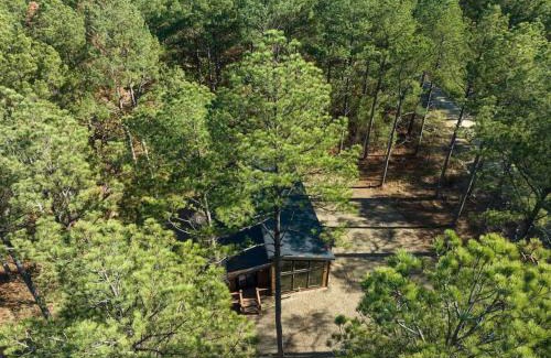 Pickens Casa | The Blaylock Cabin, 2 King, Hot Tub, Pet Friendly!