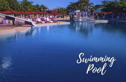 Alaminos Hotel | The Blessed Purple Bamboo Beach Resort