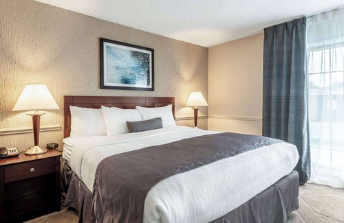Blue Ash Hotel | The Blu Hotel Blue Ash Cincinnati, Ascend Hotel Collection
