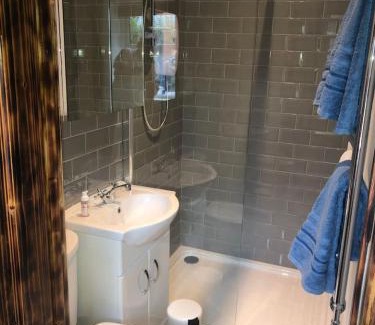 Belfast Apartamento | The Blue Garden Flat