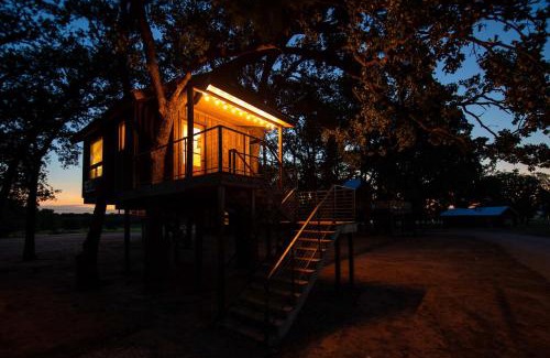 Elm Mott Otro | The Blue Jay Treehouse 15MIN to Magnolia Baylor
