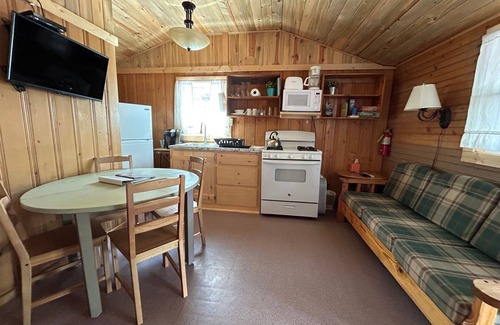 Lake City Cabina | The Bluebonnet Cabin with Mountain Views