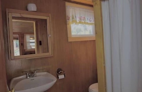 Lake City Cabina | The Bluebonnet Cabin with Mountain Views