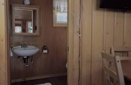Lake City Cabina | The Bluebonnet Cabin with Mountain Views