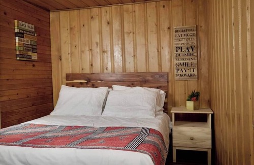 Lake City Cabina | The Bluebonnet Cabin with Mountain Views