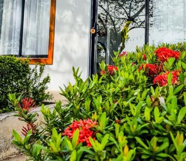 Marbella Hotel | The Bohemian Lagarto