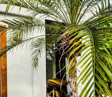 Marbella Hotel | The Bohemian Lagarto
