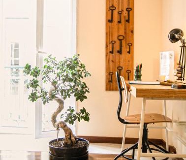 Sacramento Apartamento | The Bonsai Apartment - Glamorous Chiado