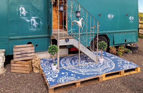 Oving Casa | The Box - Oasis Farm