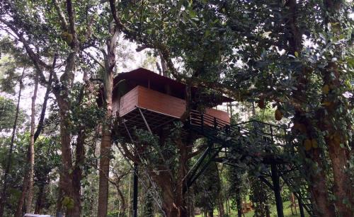 Yercaud Complejo | The Brook Resorts & Spa