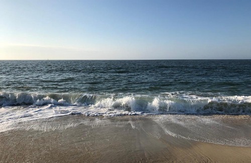 Cape May Hotel | The Buckingham Motel