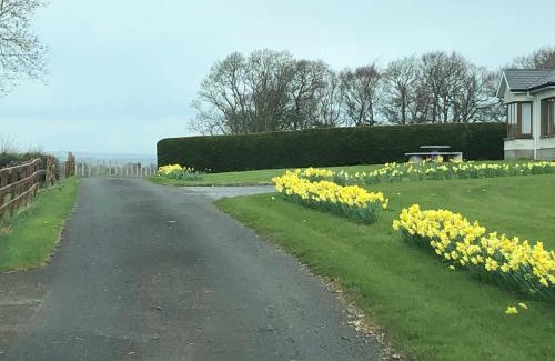 Callan Casa | The Bungalow Knockreagh Farm Kilkenny R95AX50