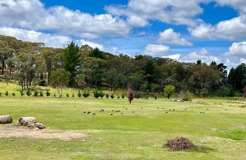 Mullion Creek Casa | The Bunker - Mullion Creek, NSW